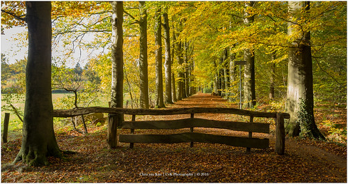 autumn autumncolors canon color cvk europe fall forrest landscape nature netherlands overijssel twente path enschede nederland nl chrisvankan ngc theroom cvkphotography