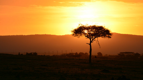 kenya africa travel safari nature maasaimara reserve maasaimarareserve sunrise hdr highdynamicrange landscape