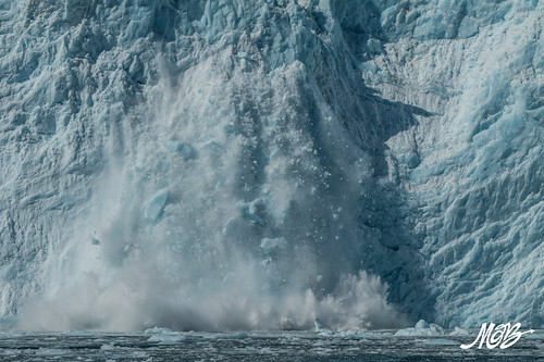 Aialik Glacier, Kenai Fjords NP, Seward