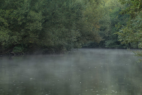 morning mist river landscape nebel landschaft morgens flus
