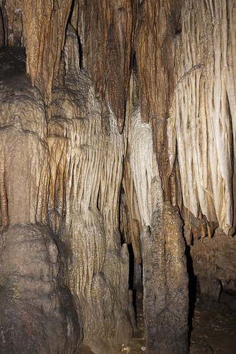 caves missouri caving nss meramecstatepark mvor fishercave cobragrotto mississippivalleyozarkregion