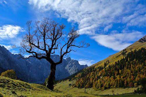 blue autumn trees sky mountains alps nature tirol österreich herbst natur himmel berge alpen blau kati bäume eng katharina 2015 nikon1v1 gemeindevomp