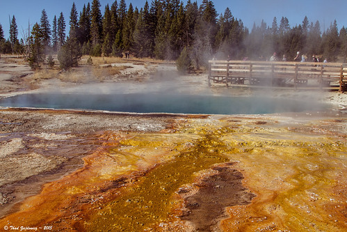 travel blue trees vacation sky people brown color nature water beautiful beauty yellow rock digital canon eos volcano natural outdoor availablelight steam 7d yellowstonenationalpark boardwalk wyoming geyser dslr hotspring vapor westthumb vulcanism abysspool extremophile zajdowicz