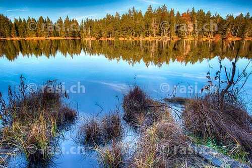 reflection in the lake #5 / spiegelung im see #5 by gerhard.rasi, photowalk with P
dedicated to my girlfriend P
 
Please don't use this image on websites, blogs or ot