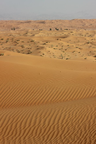 desert uae environment rak unitedarabemirates sanddunes rasalkhaimah