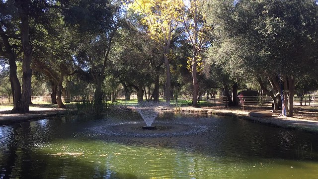 Rancho de los Robles - Emerald Pond & Fountain (video)