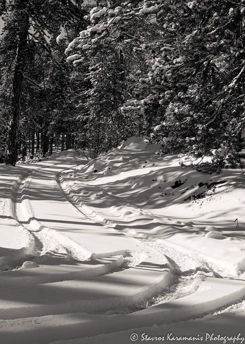 snow road tree forest outdoor nature landscape landscapephotography blacknwhite blackandwhite canonphotography canonusers canon t3i ef35350mmf3556lusm troodos cyprus ngc