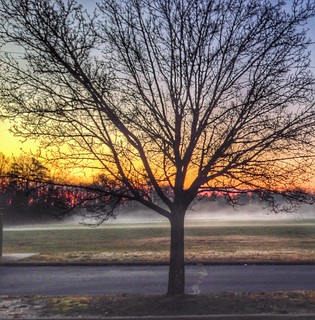 Sunrise and fog on the YMCA soccer fields