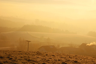 Goldene Stunde am 04.12.15 ; Bayerischer-Wald IMG_8965