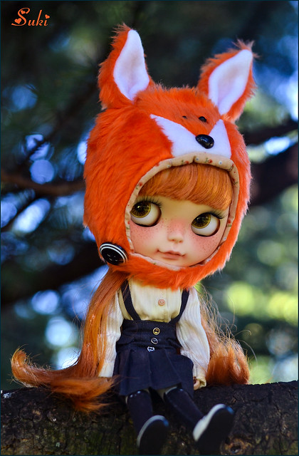 A Little Fox~*