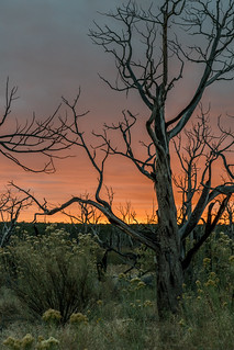 Sunset in Mesa Verde National Park