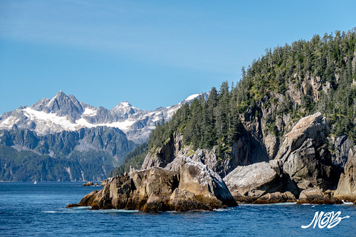 Kenai Fjords NP, Seward