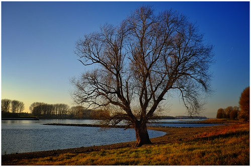 Untitled | by ingomann