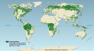 Forest systems | Forest systems are lands dominated by trees… | Flickr