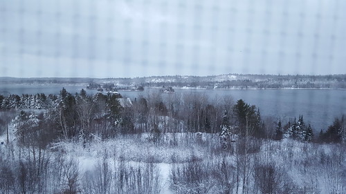 lake view vista screen gridded grid ely minnesota north northern elyminnesota mamluke winter snow trees