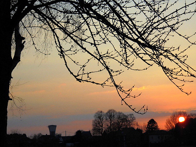 Evening sky in March