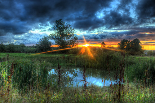 sunset sky nature field weather clouds reeds landscape outdoor serene ponds sunbeams nortonstphilip