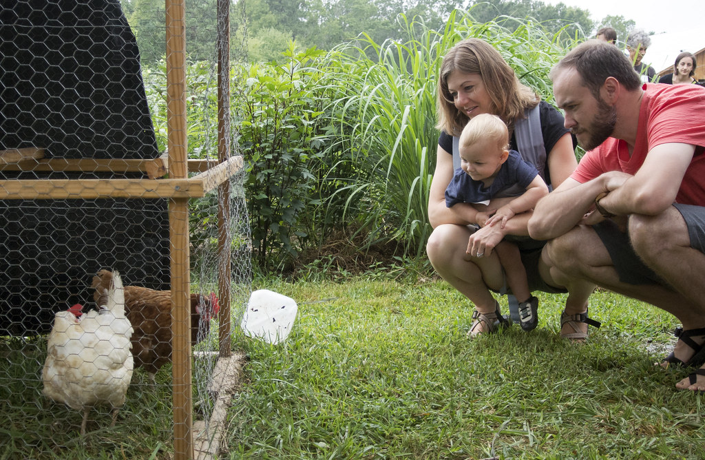 family with chicken | Photo by Diana Hackenburg | Triangle Land ...