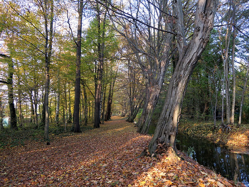 Prinzess-Luisen-Weg by ekeha,                                161109 herbst blätterfall prinzessluisenweg schwarzwasser