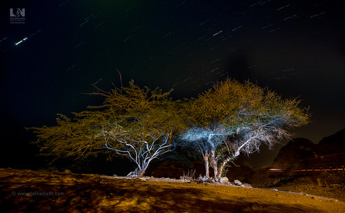 Electrify | by lalnallath