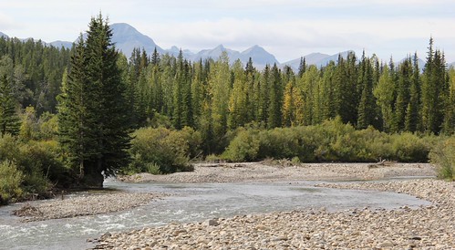 Watson Creek PRA