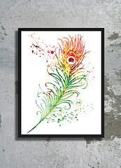 Feather Bird Watercolor Archival Print Peacock Watercolor painting Home decor Animal Watercolor Feather art Feather Poster watercolor print