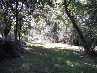 Marks Hill Nature Reserve, Path (I) SWC Walk 114 Laindon Circular