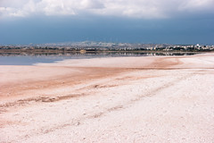Salt lake of Larnaca