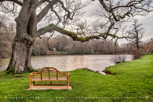 Bench at Benbow Pond