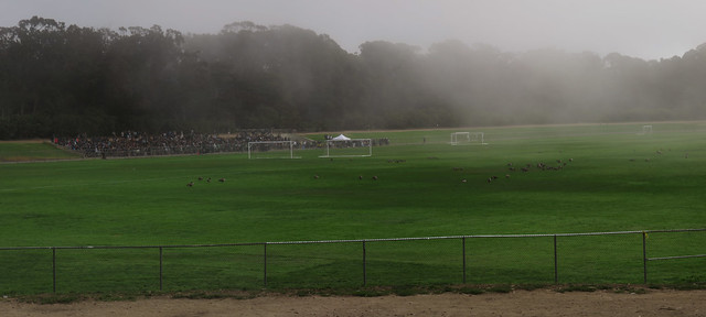 group of students at the Polo Field; Golden Gate Park, San Francisco (2015)
