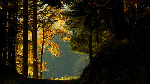 Automne | by fernand.serpol
