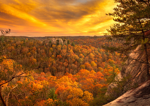 statepark autumn trees sunset sky orange mountains color fall nature leaves yellow horizontal clouds forest landscape outdoors us scenery day seasons unitedstates kentucky scenic nobody foliage overlook rectangle redrivergorge pineridge leaveschanging chimneytop danielboonenationalforest halfmoonrock