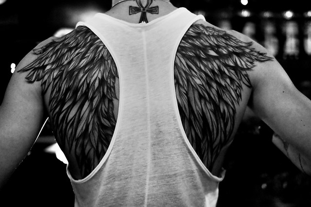 These Wings and Fly (Paris by Night series)