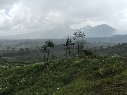 africa nature landscape rwanda