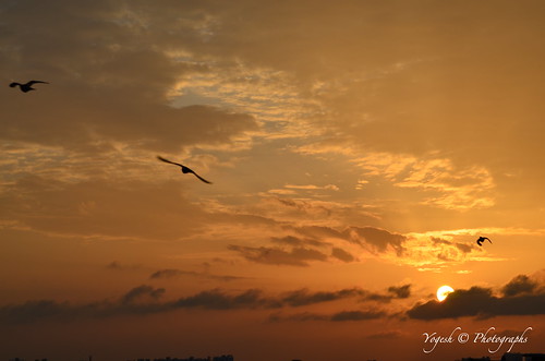 sunset red sky cloud sun india color nature birds evening amber flying nikon behind hyderabad shining hyd d5100