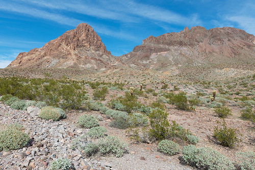 arizona cactus mountains route66 rocks desert dry brush hills wilderness bushes arid oatman