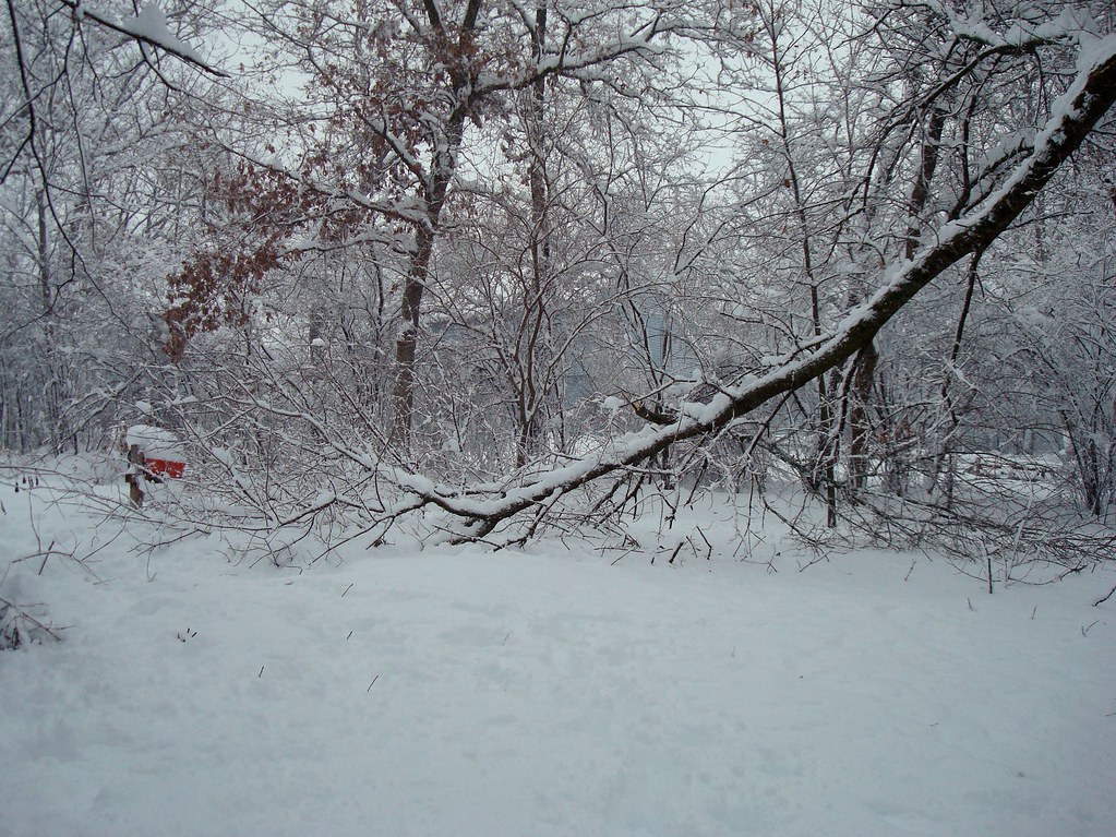 Winter Storm of Dec. 2009 Aftermath 1