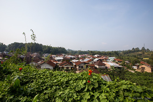 sumatra indonesia petseren