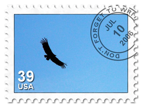 Condor Over Grand Canyon... | by Dr. Doc