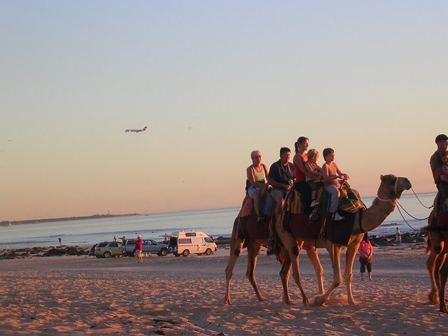 Plane and Camels