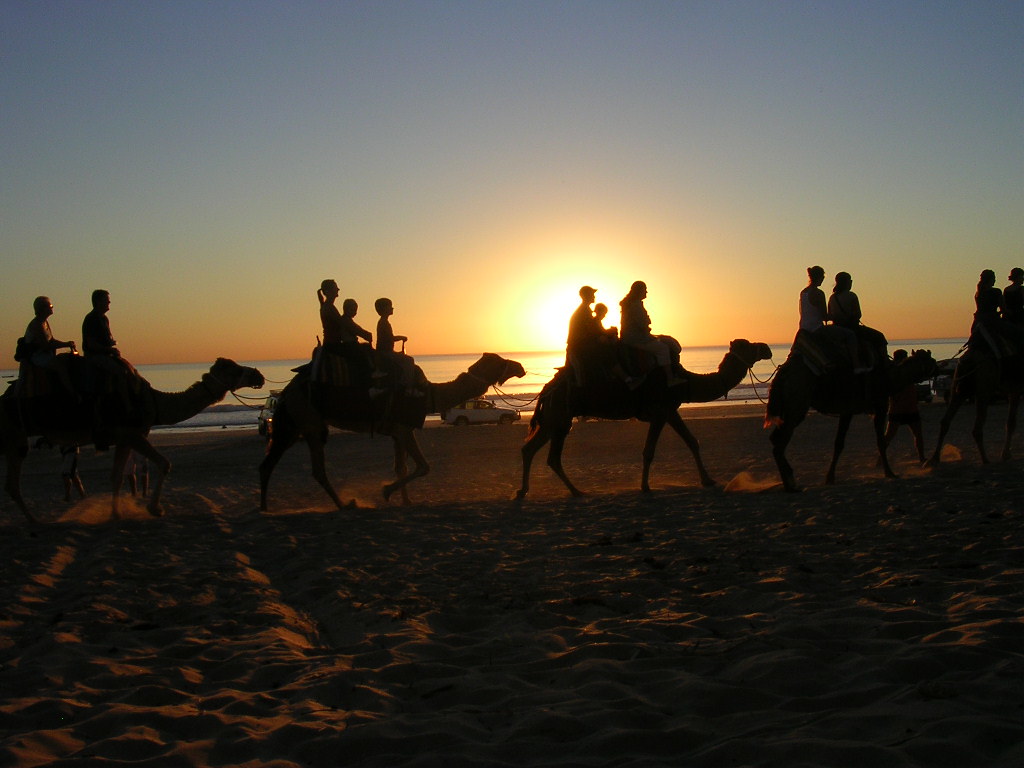 Riding Camels at Sunset