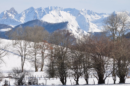 Promenade au plateau du Benou, Bilhères, vallée d'Ossau, Béarn, Pyrénées Atlantiques, Aquitaine. by byb64, bilhères bielle ossau valléedossau béarn biarn bearno 64 pyrénéesatlantiques pirinioatlantikoak piri