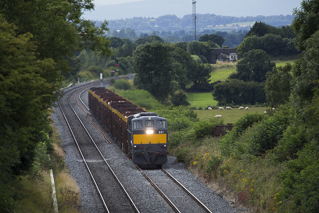 087 on a Mayo-Waterford laden timber train between Cherryville junction & Kildare on 14-Aug-15.