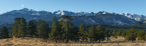 blue trees winter panorama snow mountains green beauty forest landscape nationalpark colorado panoramic longspeak rockymountainnationalpark