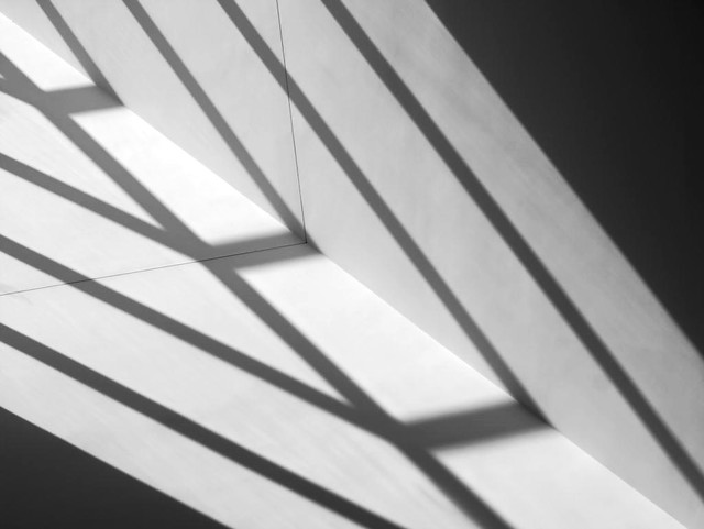 Light, Line, and Shadow