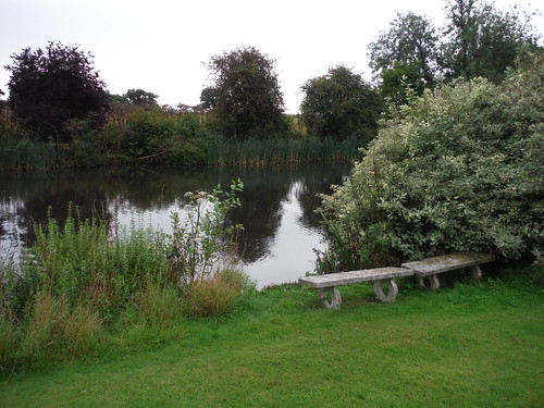 Pond by Stanstead Lodge SWC Walk 164 Roydon to Sawbridgeworth via Henry Moore Foundation