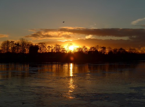 today by BrigitteE1, Dog walk with Buddylein at the river "Weser" in Bremen, Germany.
Say good bye for a few da