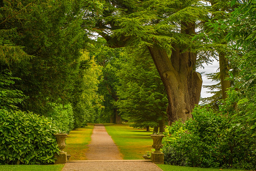 woodlands handburyhall droitwichspa droitwich worcestershire uk england 2016 summer countryestate path walk oaktrees shrubs steps outdoors vista landscape trees plants nikon d7100 tamron2470f28vc beauty serene peaceful