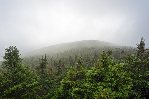 ca summer sky mist canada color tree green nature fog forest season landscape photo branch quebec location québec estrie montmégantic lapatrie