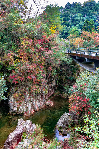 nibukawa valley imabari ehime shikoku japan autumn river fall leaves nikon d7200 sigma 1770mm 1770 landscape scenery